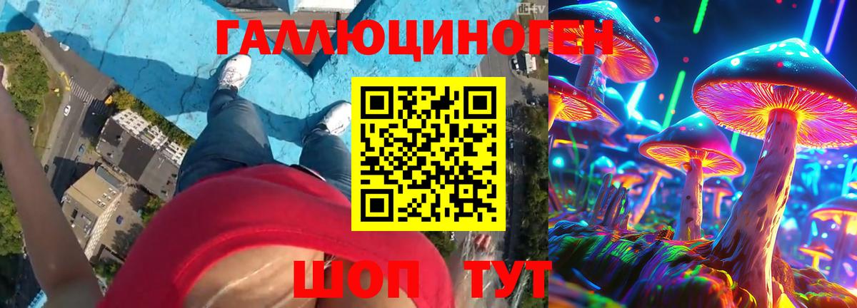 Псилоцибиновые грибы мухоморы  Псилоцибиновые грибы прущие грибы  Лениногорск  Вход с VPN 